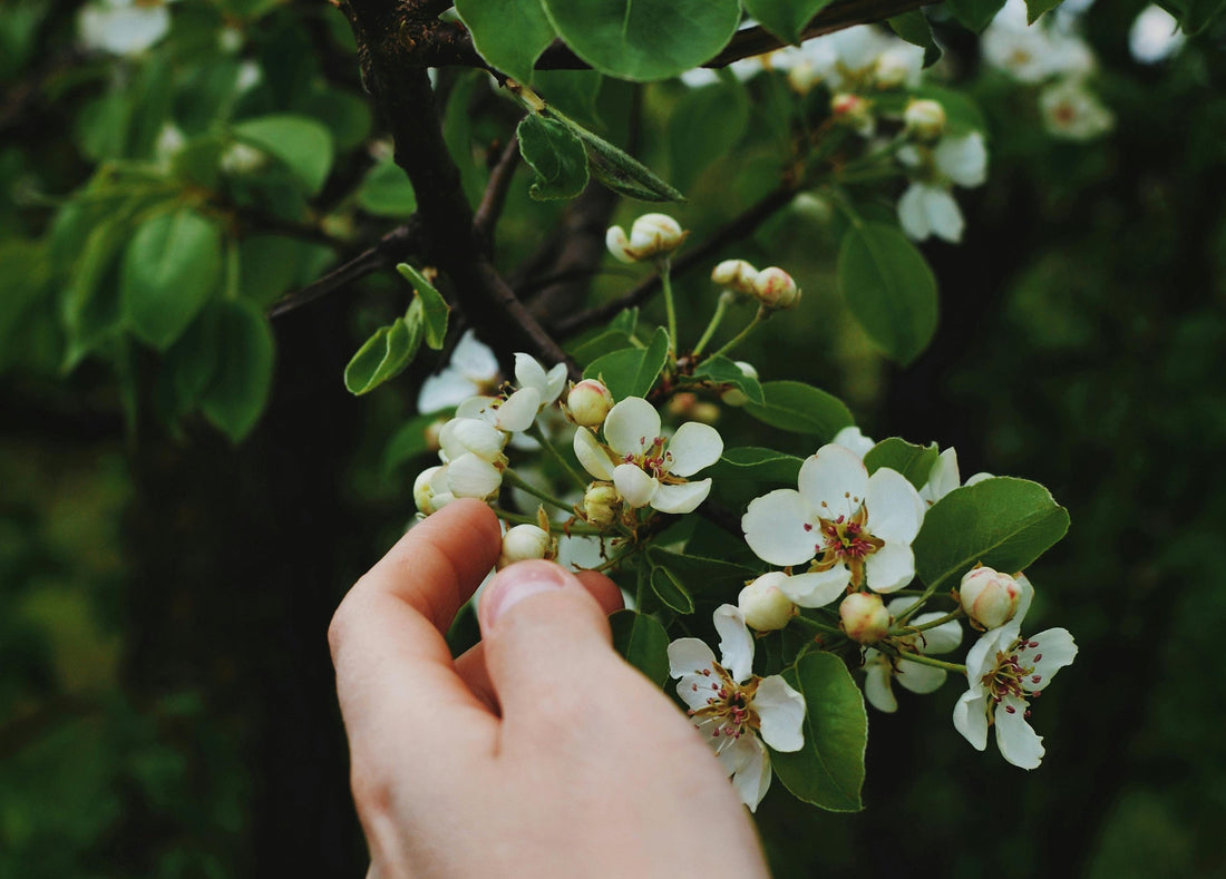 The Benefits of 100% Natural Ingredients in Intimate Massage Creams